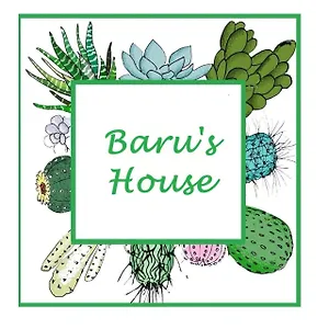 Baru's House Palermo